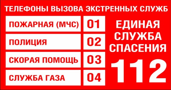 vg4g8fg 2
