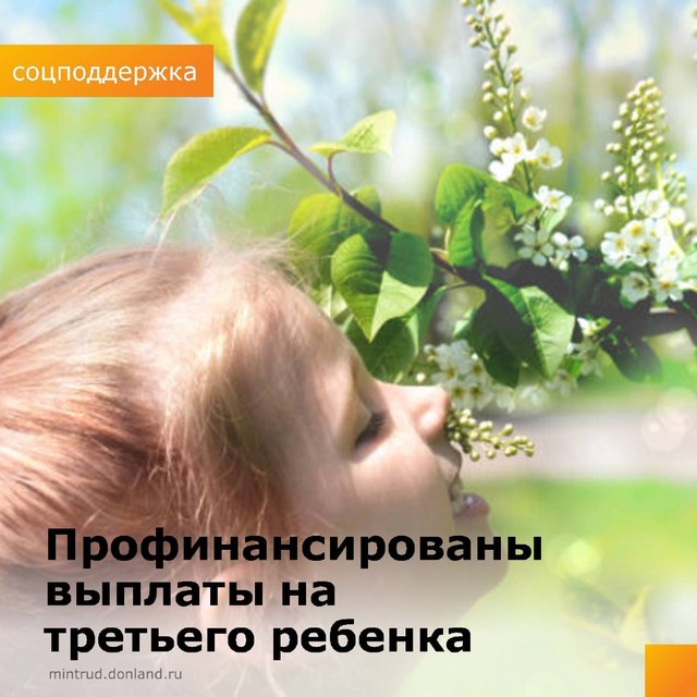 Ежемесячная денежная выплата